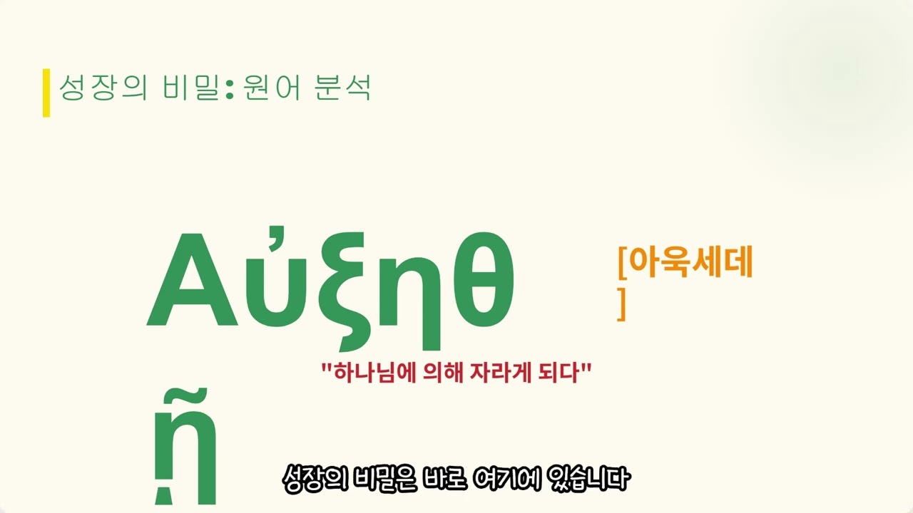 겨자씨의 역설