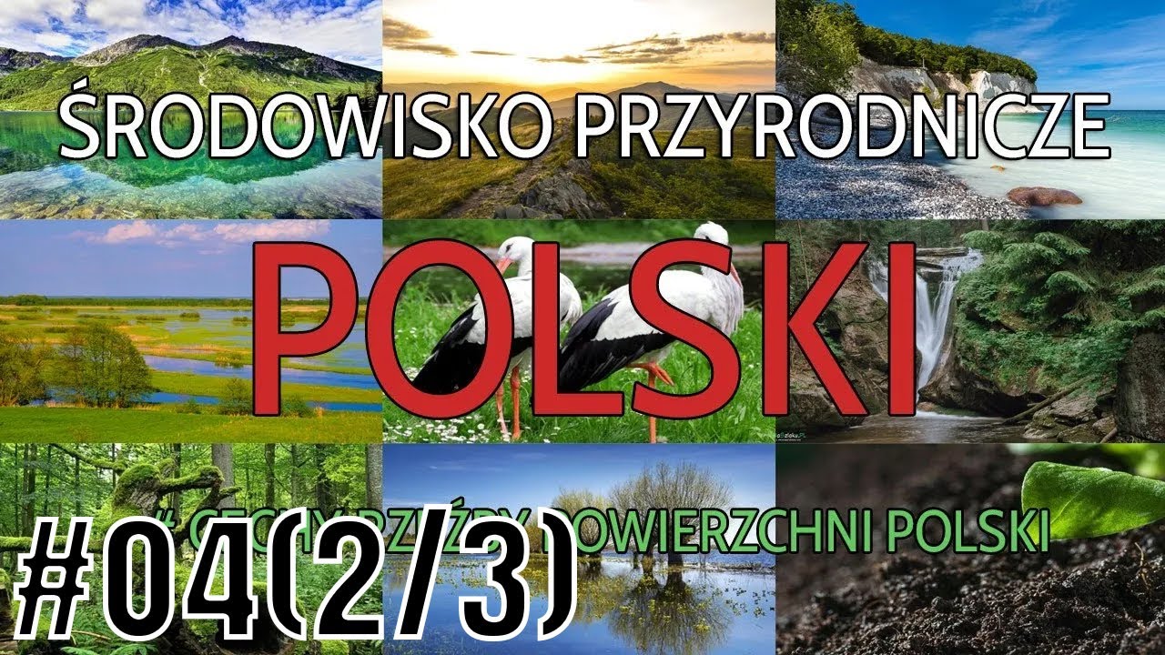 #04 Cechy rzeźby powierzchni Polski (cz.2) (GEOGRAFIA POLSKI)