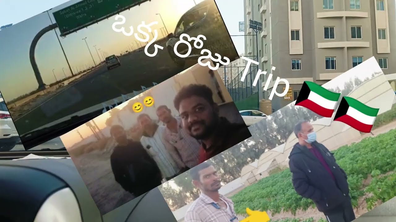 🇰🇼ఒక్క రోజు Trip 😯కువైట్ లో పల్లెటూరు#viral#youtubeshorts#ytshorts#youtube#trending#kuwait#shorts