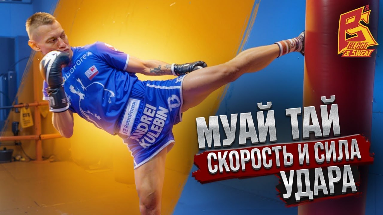 Сила и скорость ударов ногами / Белорусская школа тайского бокса
