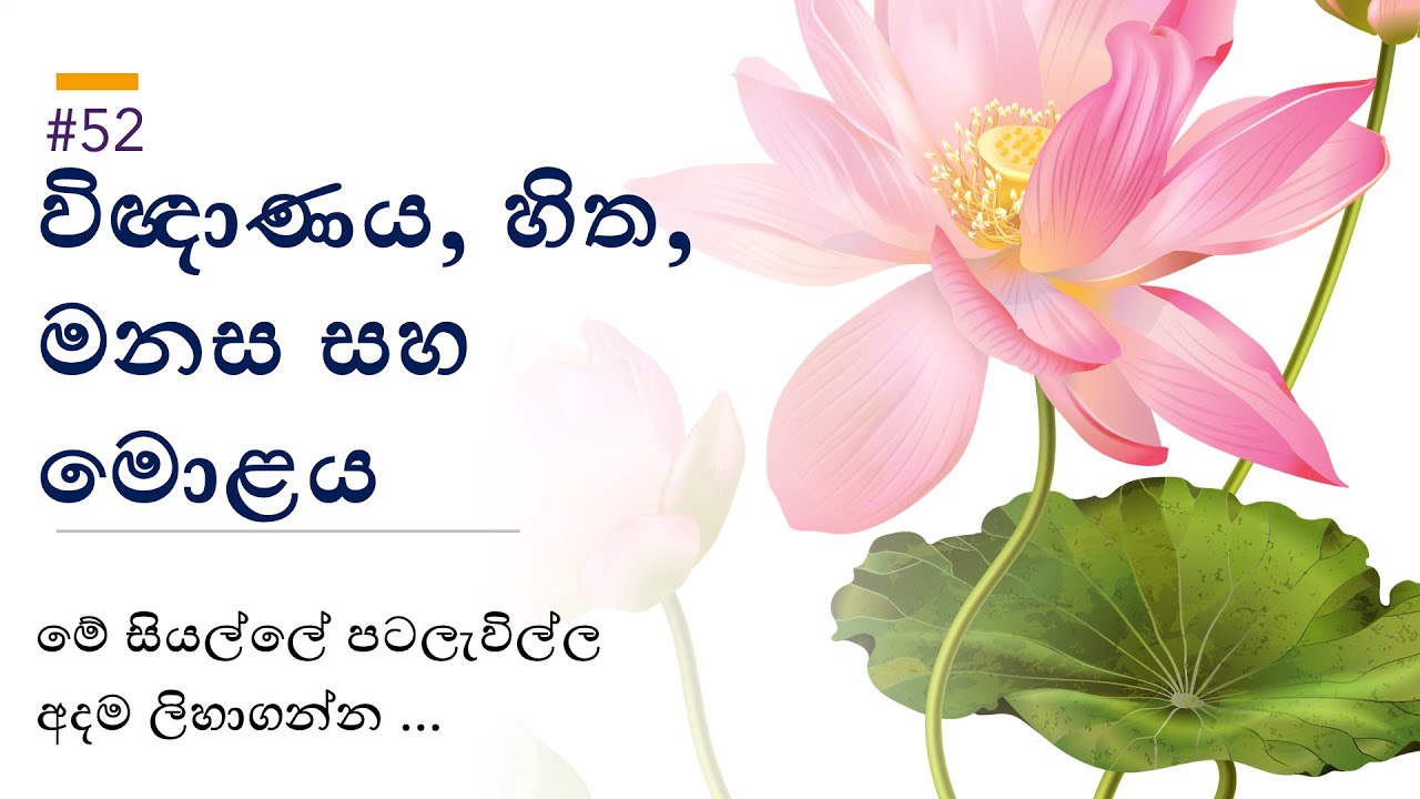 විඥාණය, හිත, මනස සහ මොළය - Brain,Mind and Consciousness