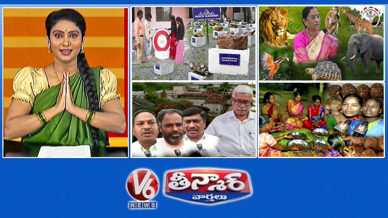 Rare Rock Garden | Animals Adoption Scheme | Hindi Pandits Village | Ippa Puvvu laddu | V6 Teenmaar