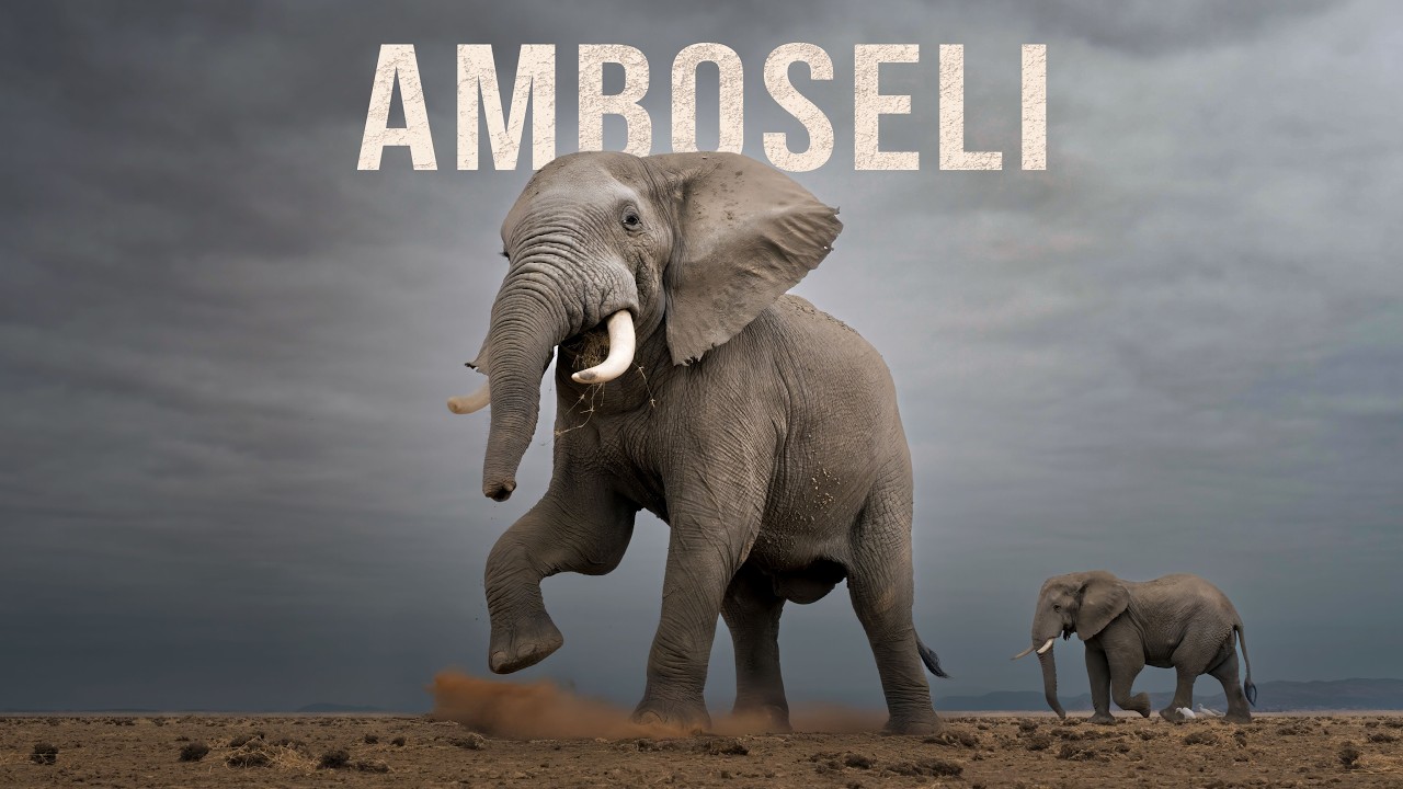 The Land of GIANTS - Amboseli National Park