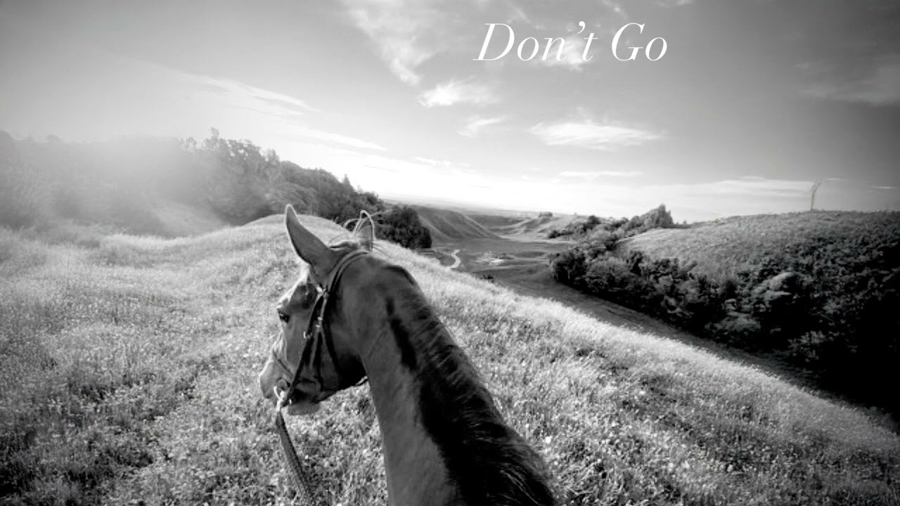 Te Wehi - Don&rsquo;t Go (Audio)