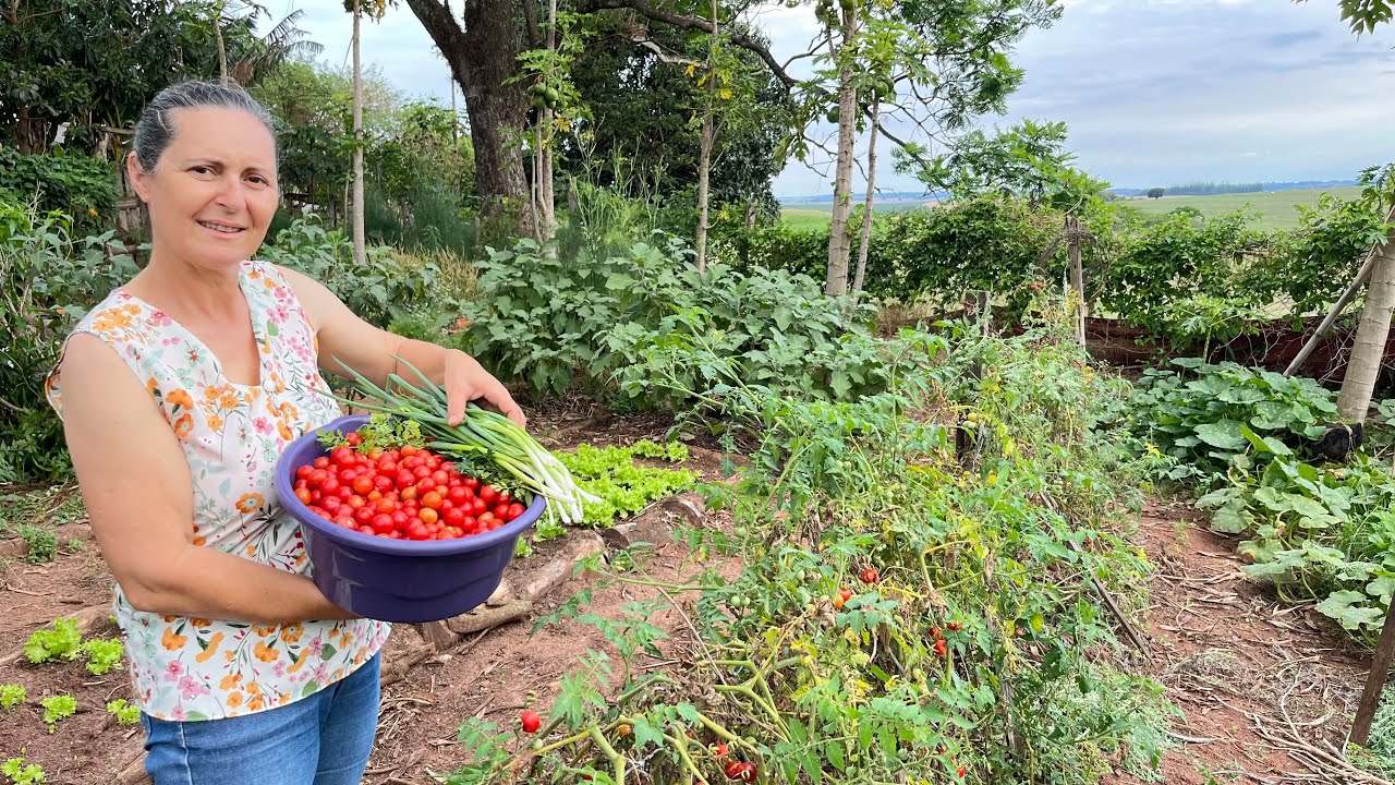 MOLHO DE TOMATE CASEIRO no FOGÃO a LENHA - TATIANA ENSINA RECEITA com TOMATINHOS da HORTA