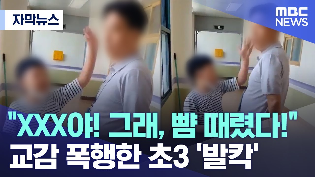 [자막뉴스] 