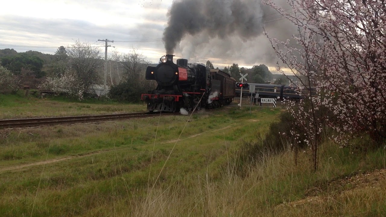 R711, R761 and J549 all leave Castlemaine!