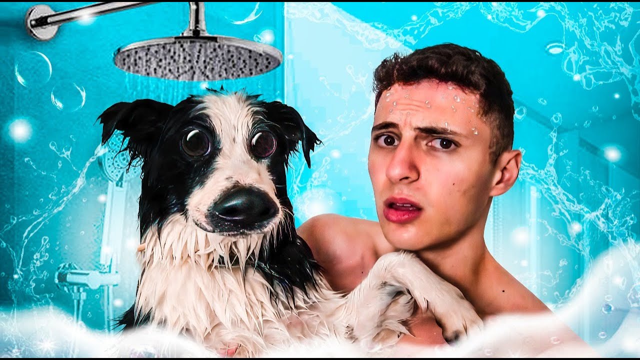 Tentei dar um banho no meu cachorro... O MUNDO DE SIMBA #21