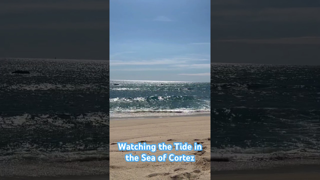 Watching the Tide in the Sea of Cortez 