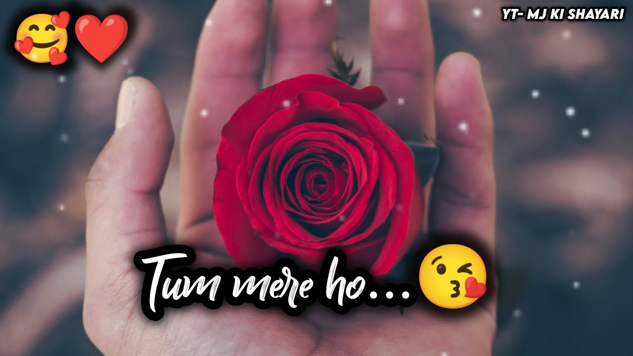 Tum Mere Ho 😍 Love Female Shayari 💞 | Shayari WhatsApp Status 🥰 | Romantic Shayari WhatsApp Status 