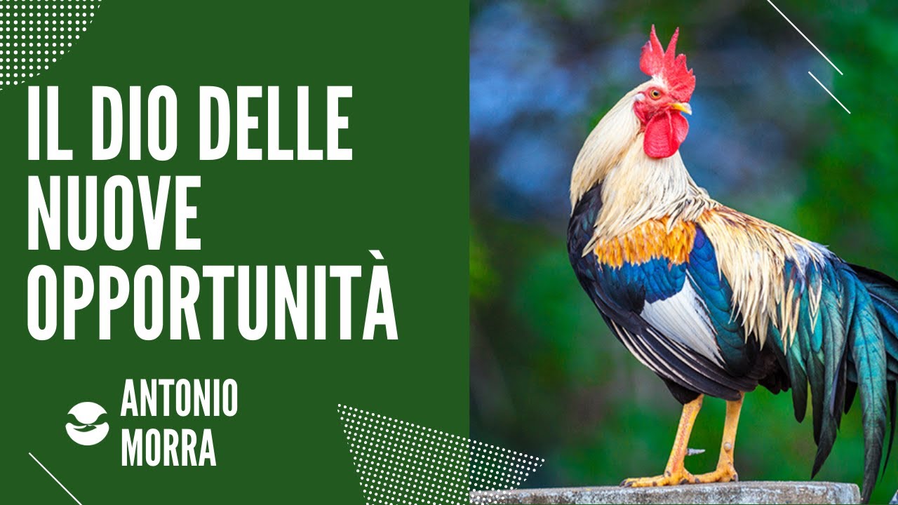 Il Dio Delle Nuove Opportunità | Antonio Morra