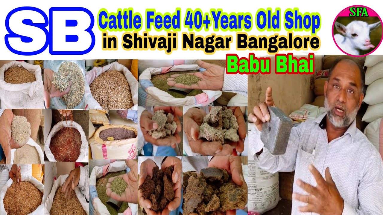 Farooq SFA,SB Cattle Feed.Goat & Cow pets 40+Years Old Shop  in Shivaji Nagar Bangalore at Babu Bhai