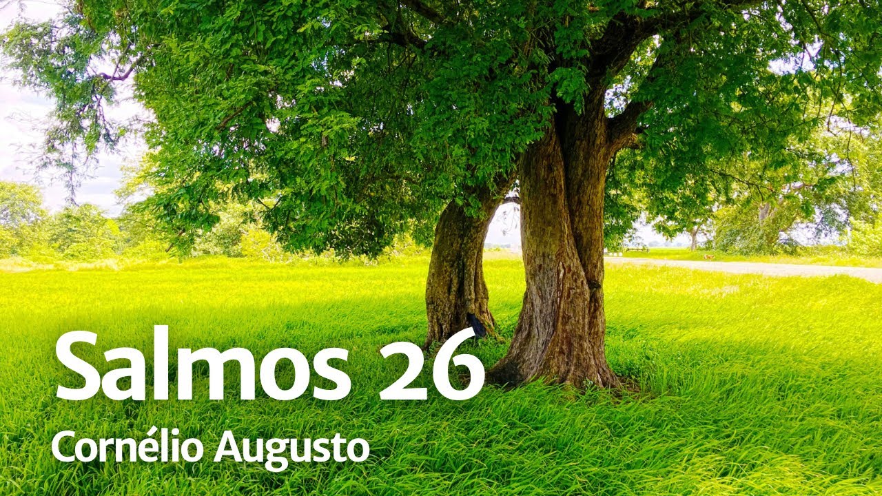 Bíblia Falada | Salmos 26