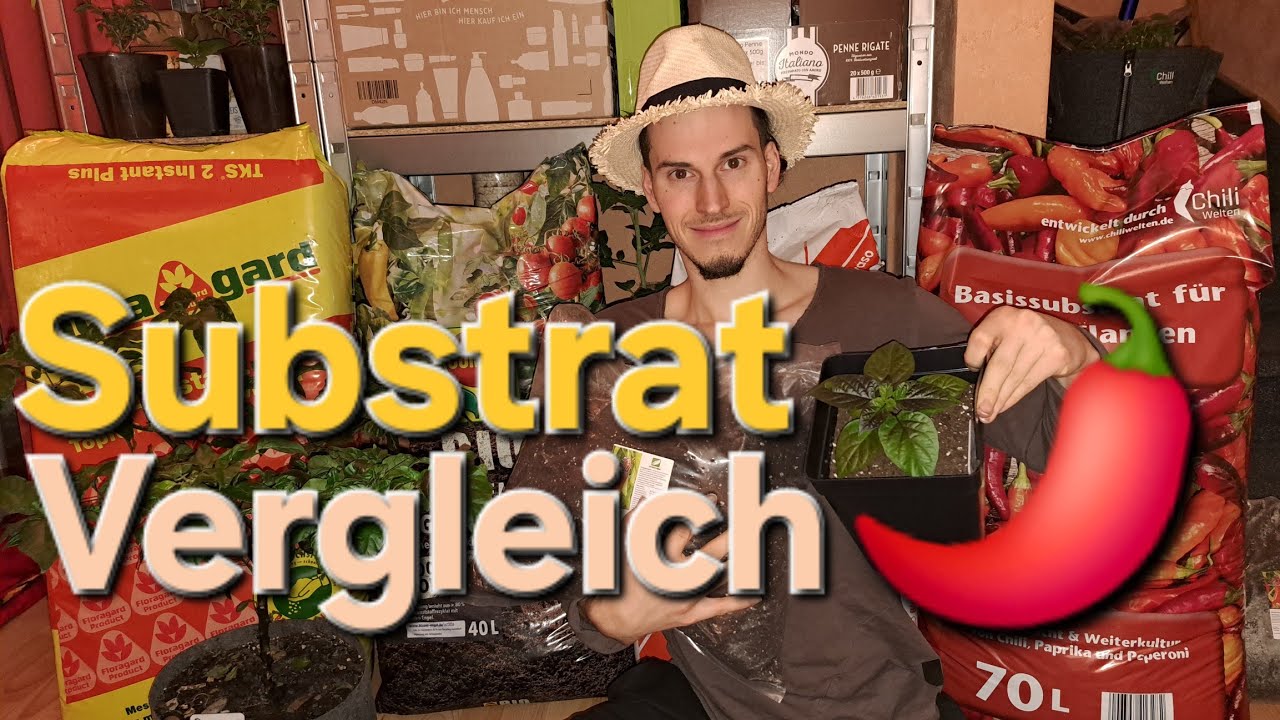 Substrat Vergleich - Welche Erde für Chili und Paprika Pflanzen?