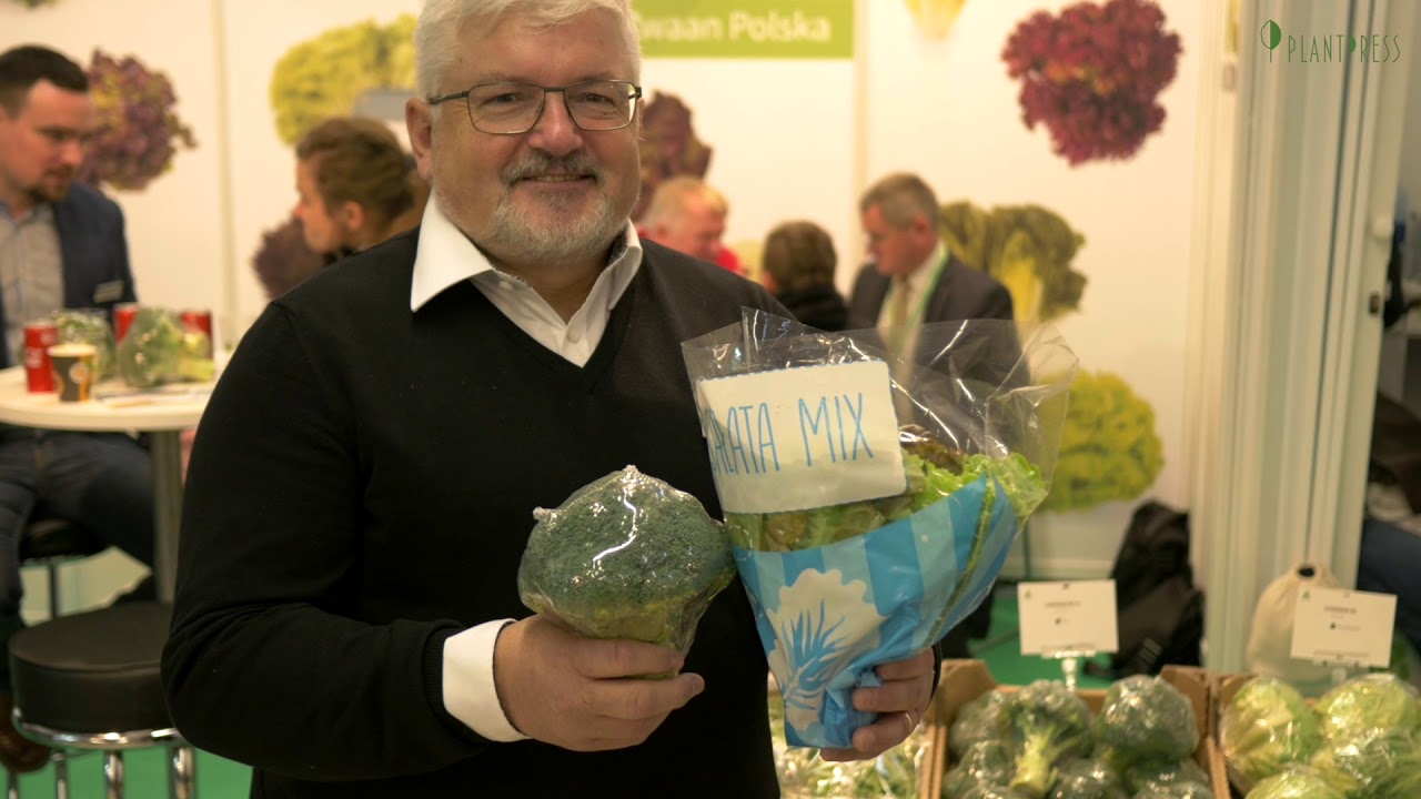 Rijk Zwaan - Ogrodnicze nowości 2019