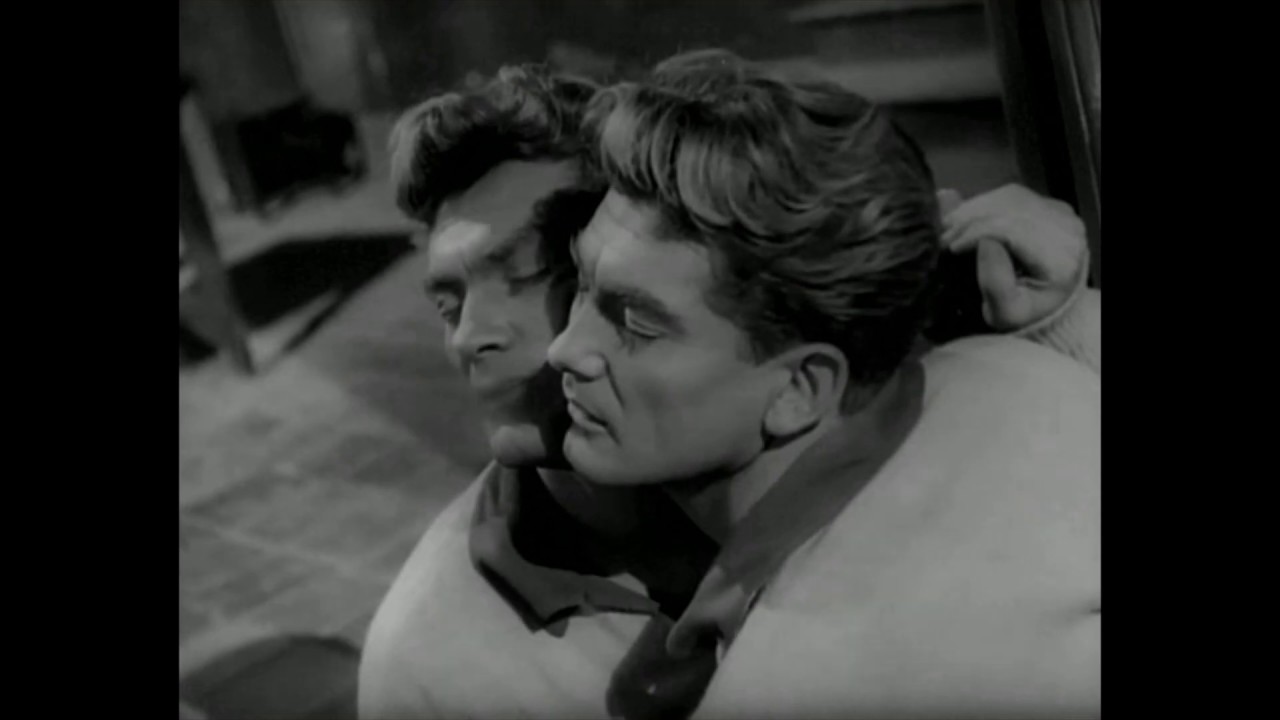 If Anything Happens To The Cat - Intrinsic Gravity