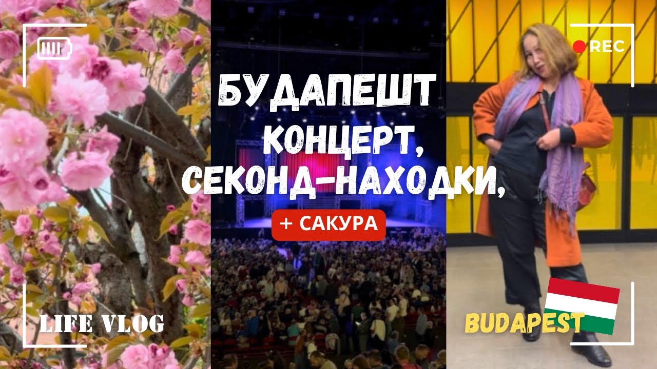 Будапешт за один день: концерт, секонд-находки и сакура 🌸😱