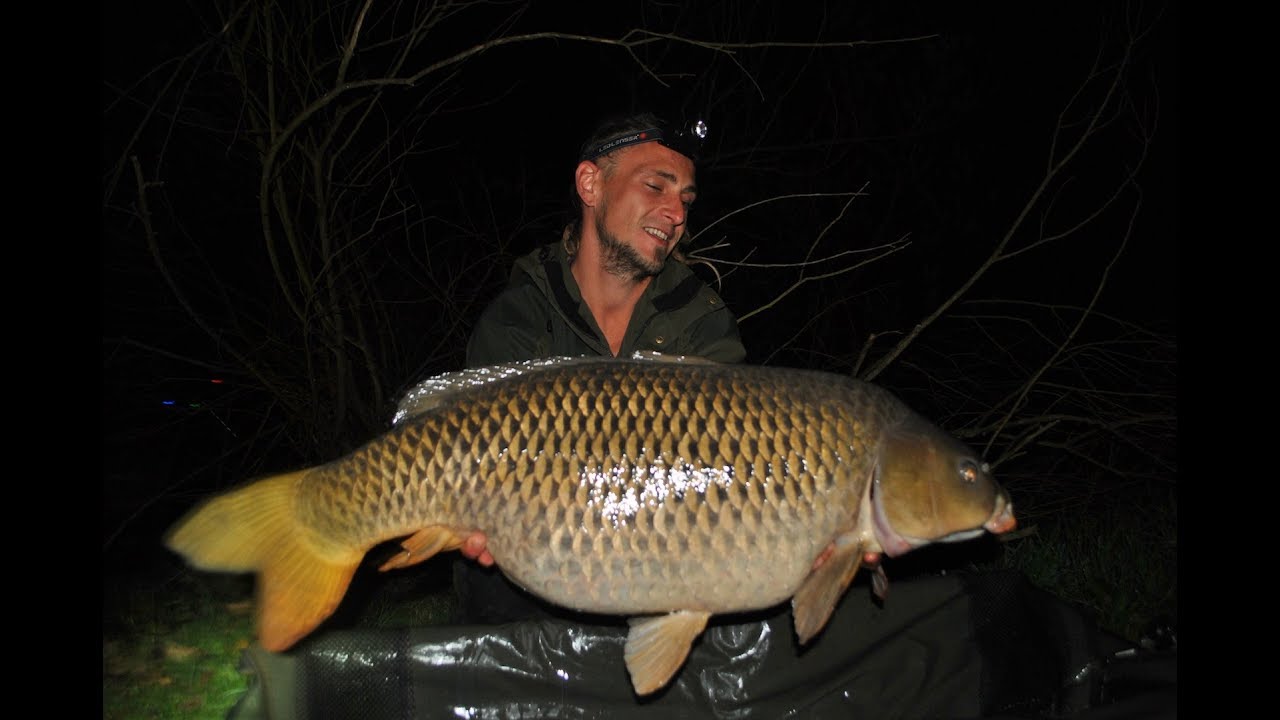 Inkognito Lake - Karpfenangeln in Österreich - Carp Fishing in Austria