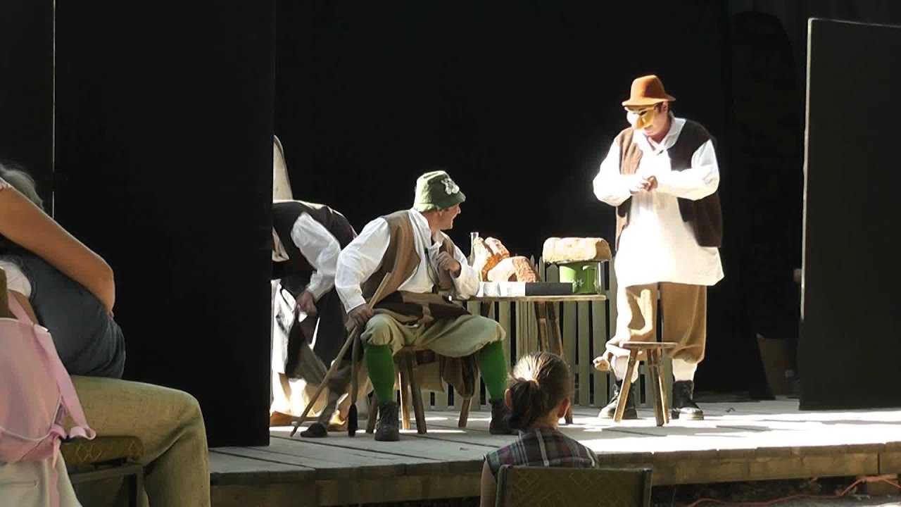 Pacala-Teatrul VASILACHE Botosani