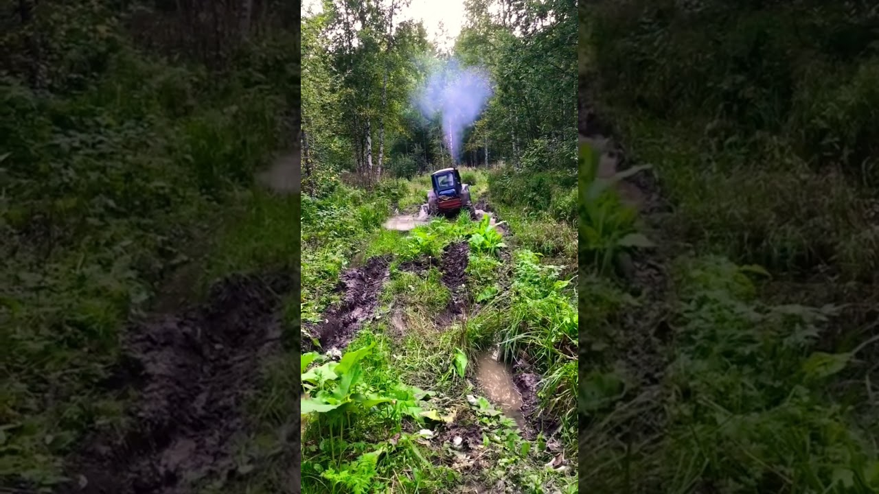 Бродяга...)#трактор #music #offroad #farming