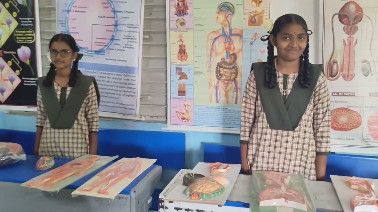 Mega PTM 3.0 At ZPHS PEDDATHIPPASAMUDRAM(Telugu)