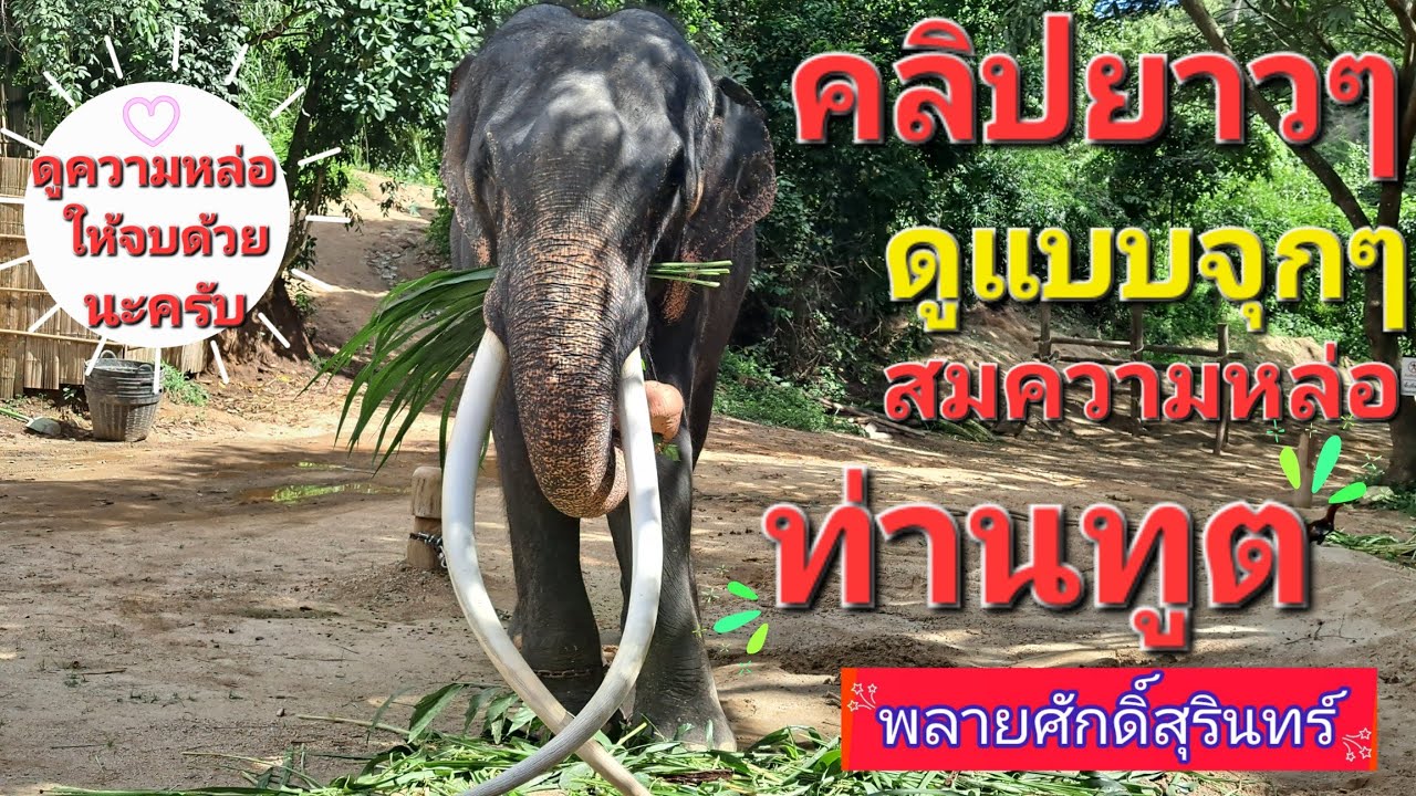 คลิปนี้...เปิดให้ดู 