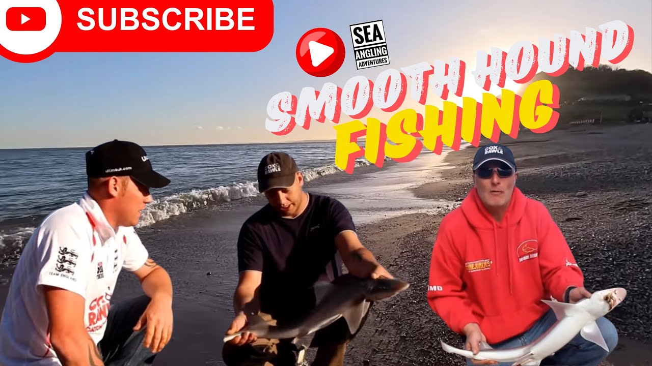 Sea Fishing Uk - Fishing and Traveling  To An East Devon Beach | Smooth hounds | Screaming Reels