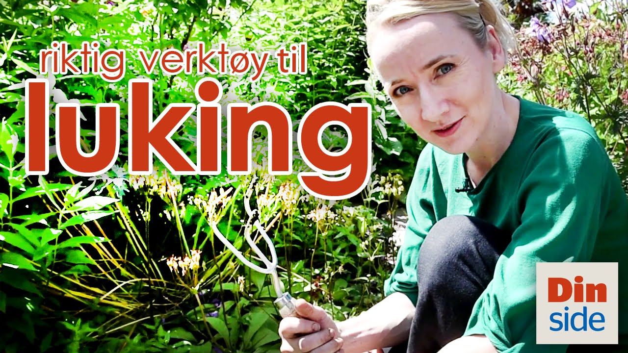 Slik luker du i hagen - Dinsides Hagetips