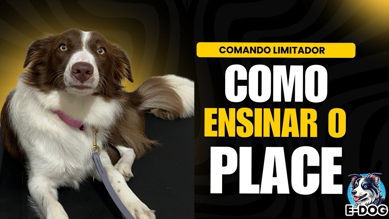 Comando limitador - Como ensinar o Place?