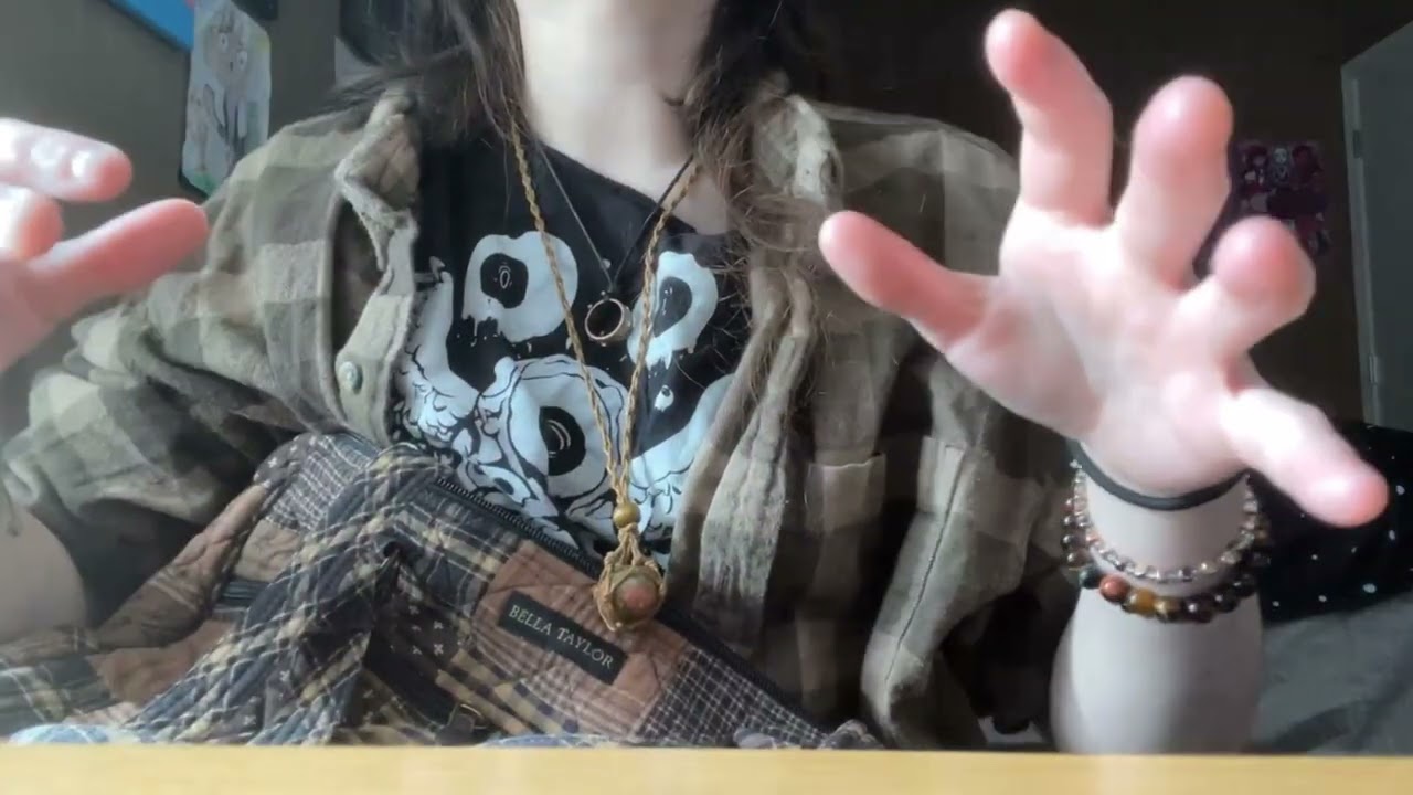 ASMR | the Conspiracy Theorist on the Bus
