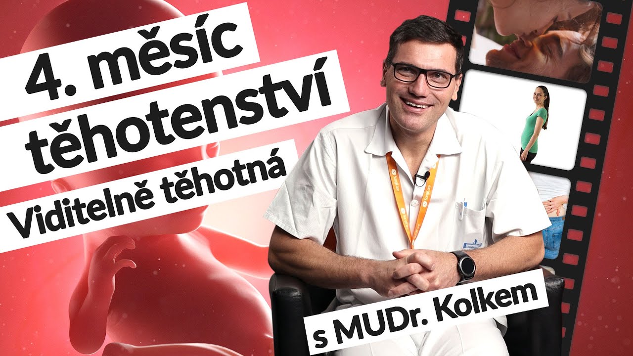 4. měsíc těhotenství (14.–⁠17. tt) | Těhotenství týden po týdnu| #tehotenstvi