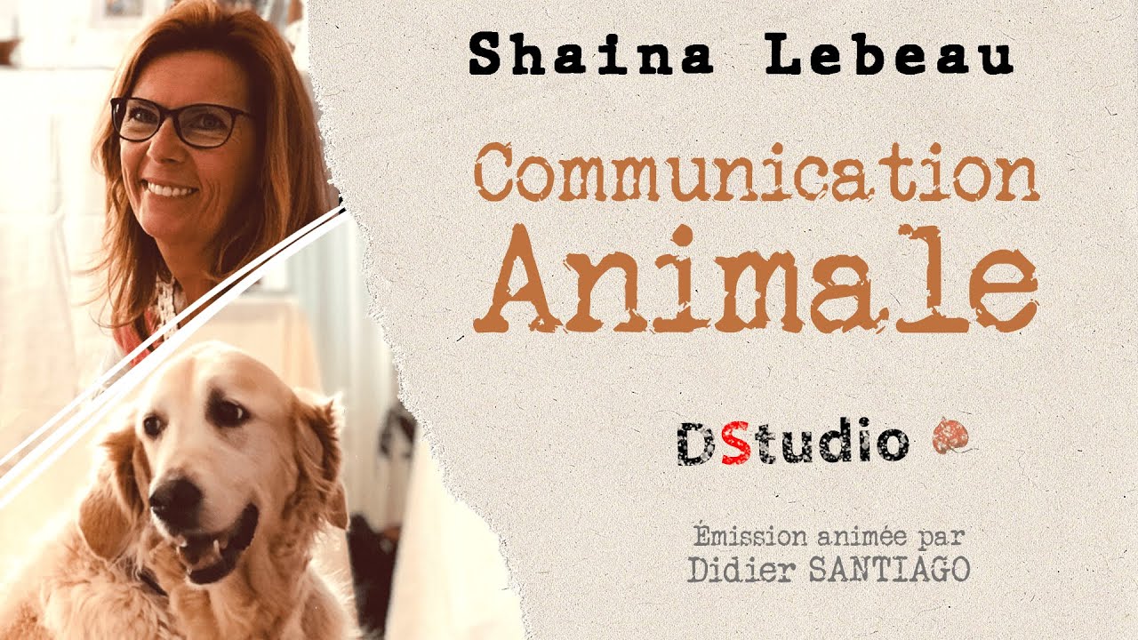 Shaina Communication Animale