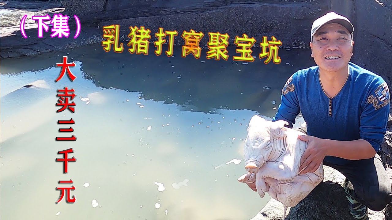 22斤乳猪打窝聚宝坑，引来一斤2000元咕咕叫“黄瓜鱼”，这下发了（下集）