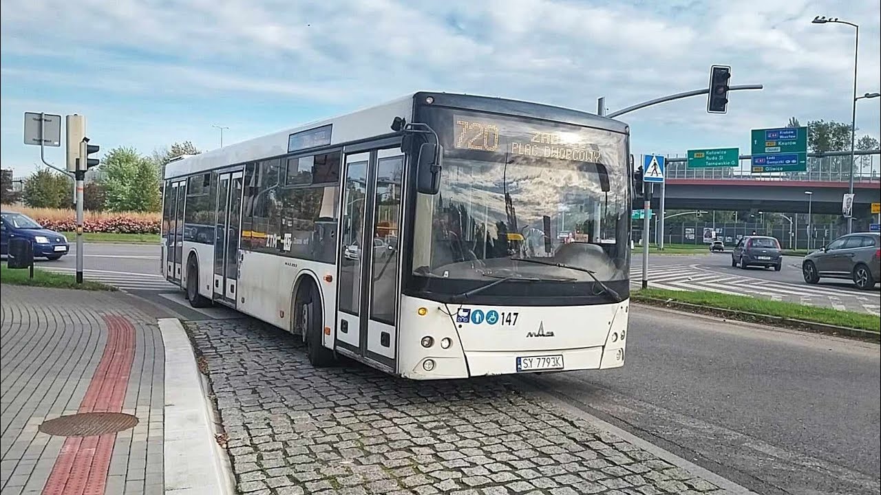 MAZ 203.069 #147, Transport Pawelec (Przejazd, 720) 🎶ZF [*]