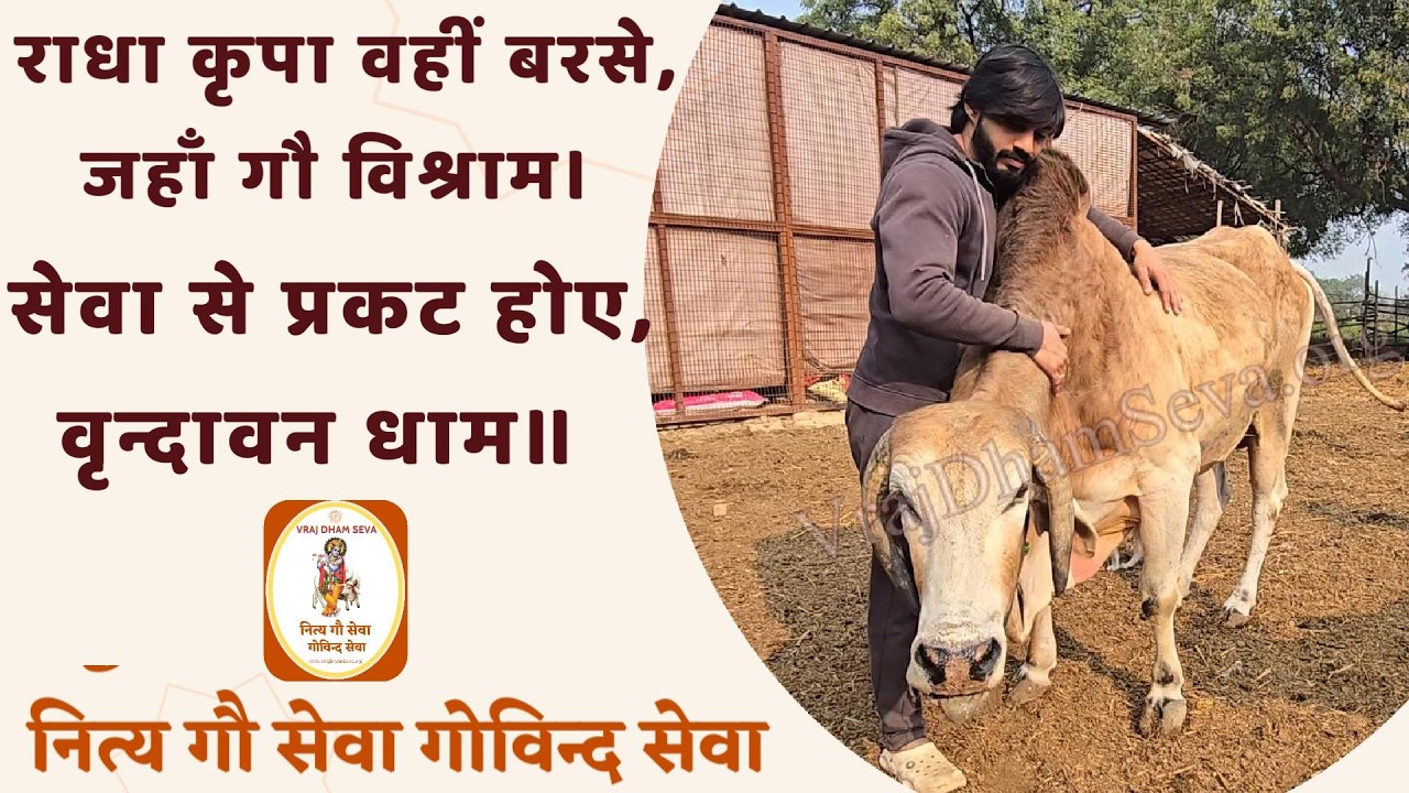 राधा कृपा वहीं बरसे, जहाँ गौ विश्राम। सेवा से प्रकट होए, वृन्दावन धाम॥ नित्य गाय सेवा गोविन्द सेवा