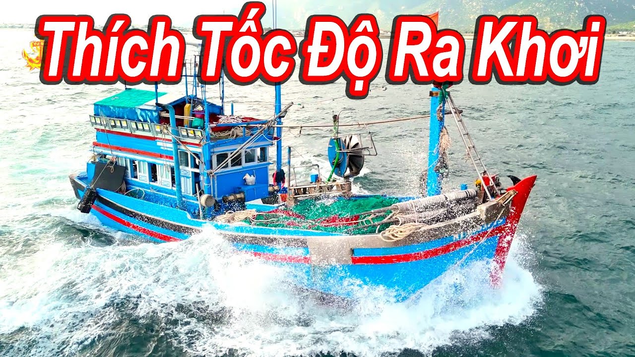 Tàu Cá Đua Nhau Ra Khơi Đánh Bắt Thủy Sản || Ngư Dân Cà Ná - Ninh Thuận 2024
