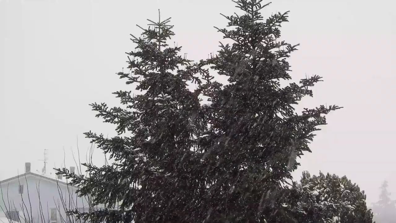 NEVE,NEVE E ANCORA NEVE