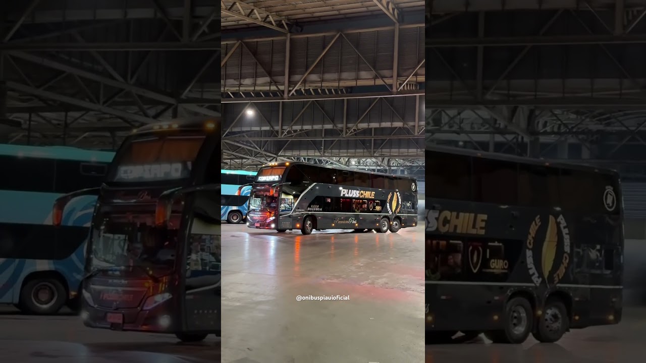 Pluss Chile Buses