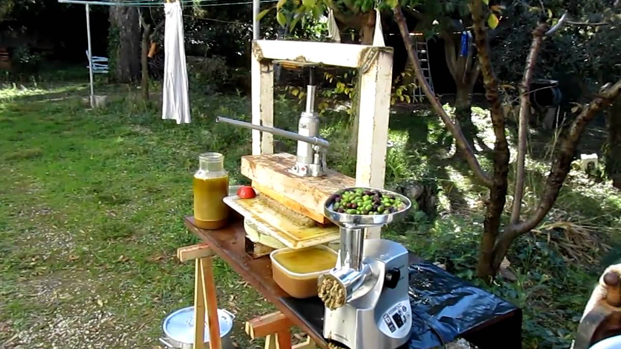 MVI_0369.MOV