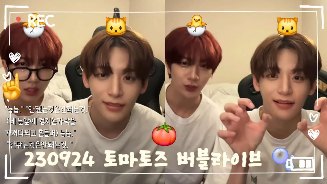 [버블라이브] 230924 토마토즈 🫧  | 크래비티 정모&원진 🍒 (CRAVITY JUNGMO & WONJIN Bubble Live) 