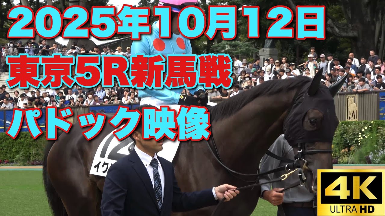 【4K動画】2025年10月12日東京5R新馬戦パドック【イクシード】