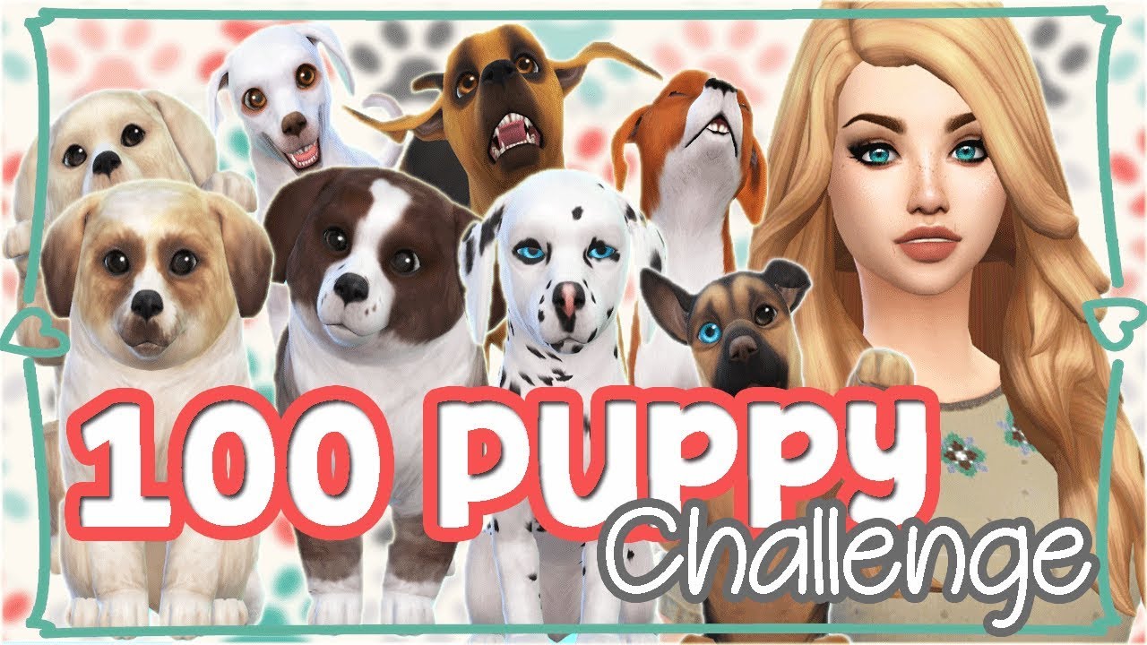 HOW DO YOU BREED! | Part 1 | The Sims 4 ❤ 100 Puppy Challenge