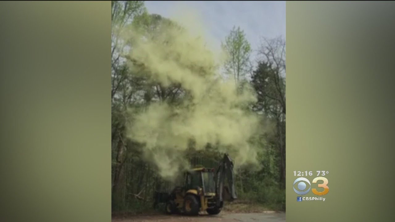 Man In Heavy Equipment Taps Tree, Sends Massive Pollen Cloud Into Air