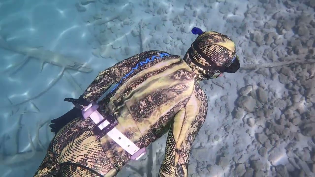 Freediving  im Eibsee mit Häign von Underwaterworld Shark