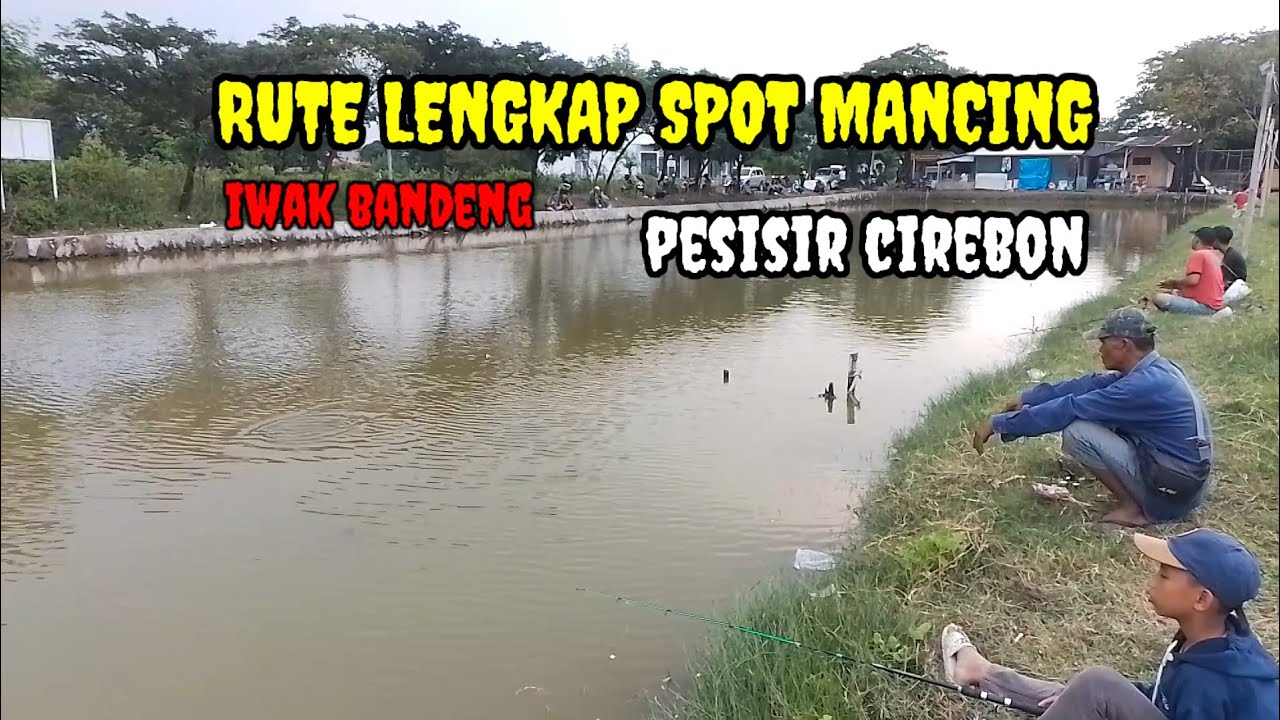 RUTE LENGKAP SPOT MANCING IWAK BANDENG PESISIR CIREBON !!!