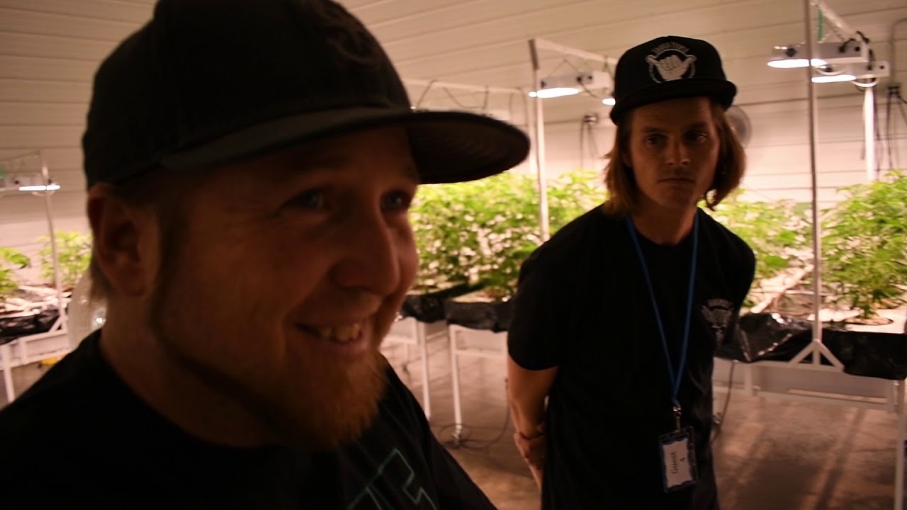 Best Buds... Inside Cannabis Culture