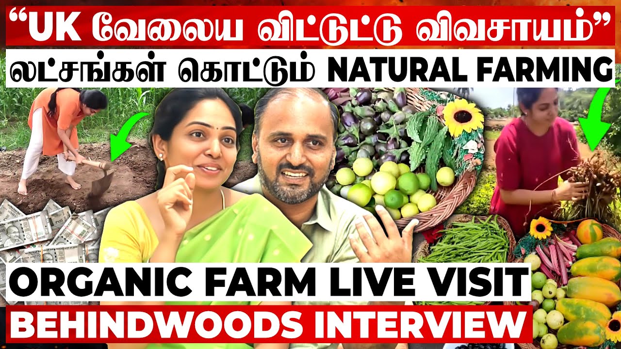 பிரமாண்ட காய்கறி தோட்டம்😨கோயம்பேடு Market-க்கே Supply பண்ணலாம் போல😯organic Farm  live visit