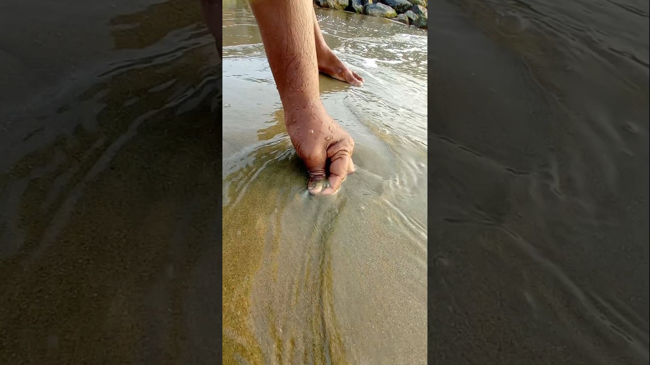 Oh My God! Its a Big One...    #fishing #fishingvideos #thoondilulagam #seafishing