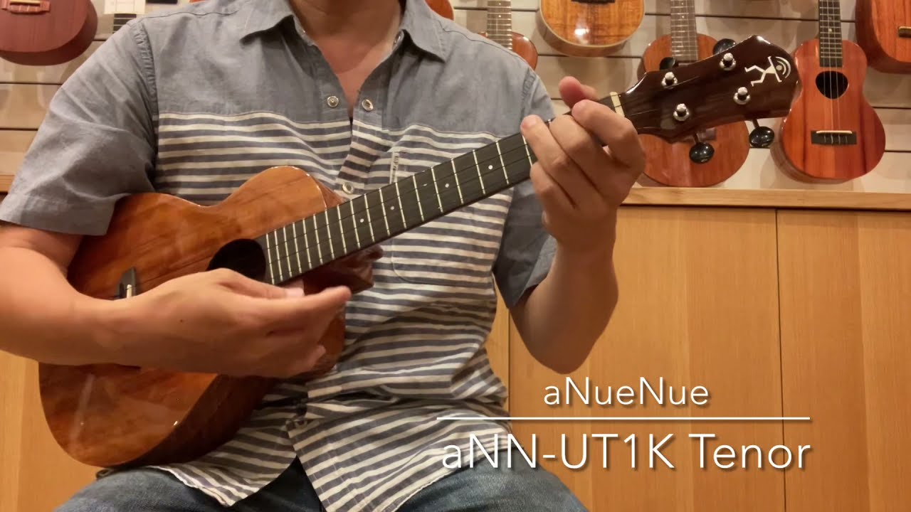 aNueNue UT1K Tenor       [UKULELE BIRD]