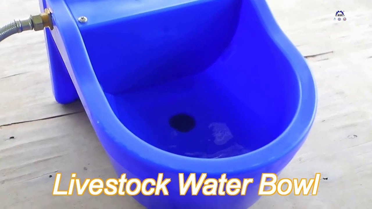 heavy duty pe automatic livestock water bowl 9.3l for ranch